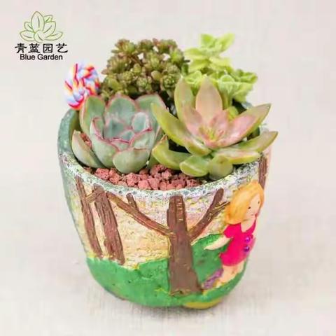 我将阳光送给你——青蓝园艺