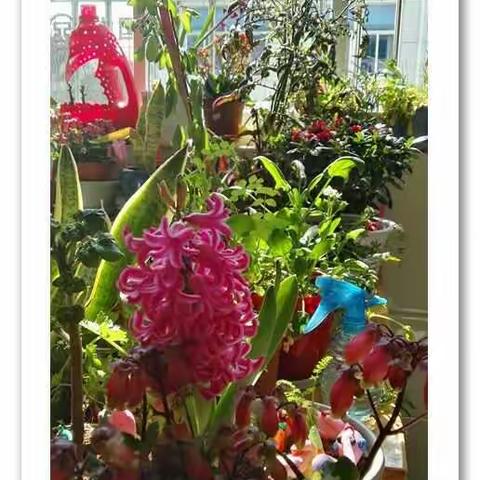 小小的自然 大大的视界 o(^o^)o