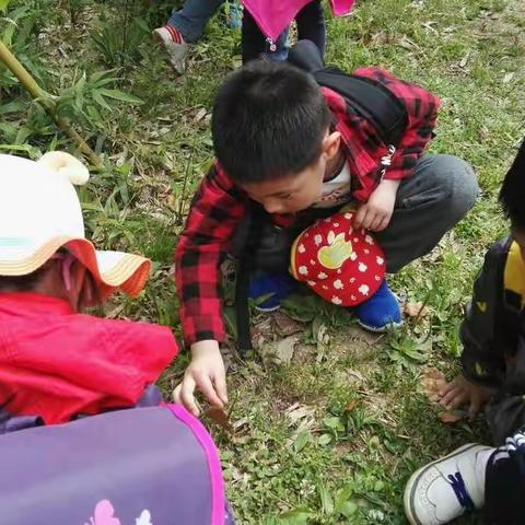 再游葛仙湖～春游季