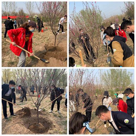 学史明智传薪火 植树添绿践初心