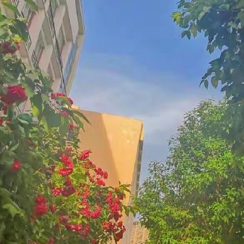 秦都妇幼“疫路”向前，不辱使命！
