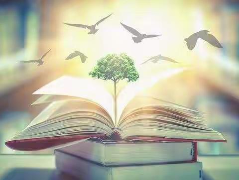 用爱浇灌，静待花开——西新桥中心校优秀教师刘春颖