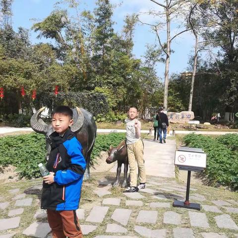 我的春节2019