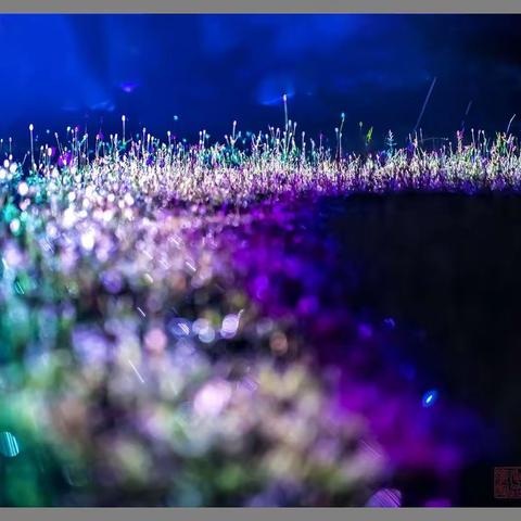 巢湖三瓜公社灯光秀