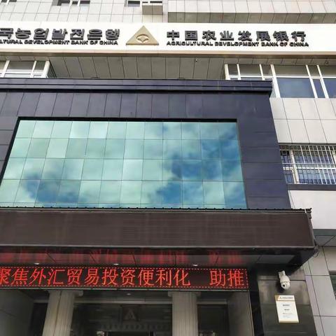 延边州中国农业发展银行开展外汇政策宣传活动