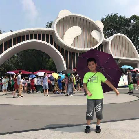 2018，夏，成都！旅行篇之三