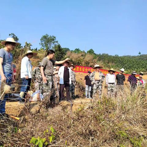 海胶集团长征分公司开展2023年义务植树活动