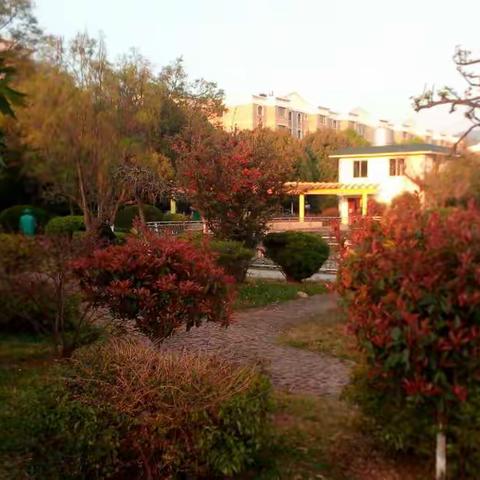 美丽的彩云之南一一昆明