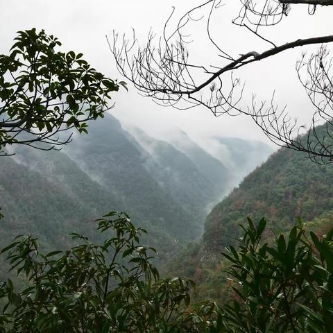 赏奇秀划岩山，登绝壁飞鹰道