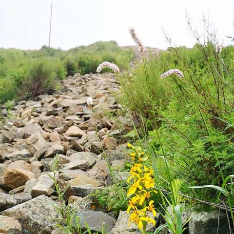 宣化境内第一高峰~凤凰山欢迎您