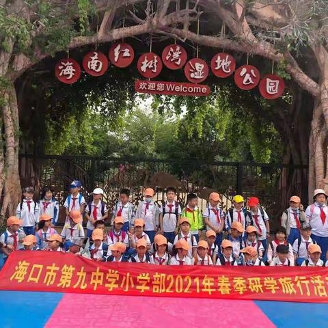 海口第九中学小学部走进红树湾湿地公园