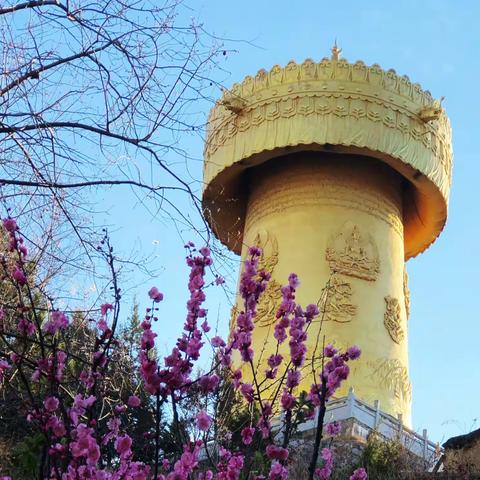 纳帕海湿地 独克宗古城