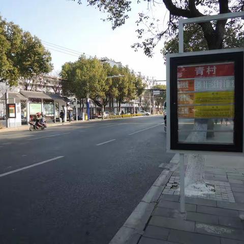 青春已失，青村依旧