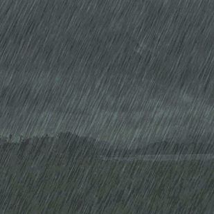 黄梅教育人汛情面前显担当