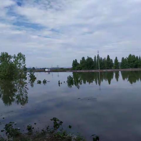 闻“汛”而动践初心