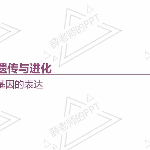 高三总复习之必修2第6单元~2