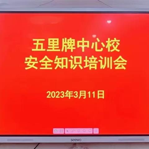 耒阳市五里牌中心校安全知识培训会