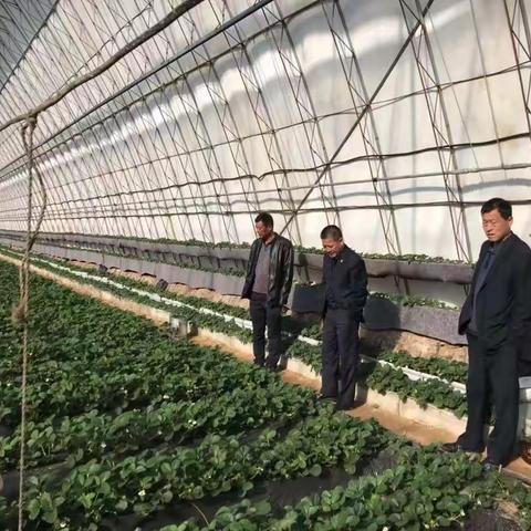 马家岗支行本周工作汇报