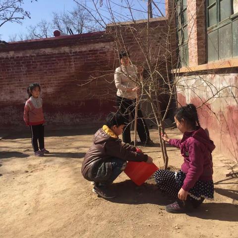 我与小树同成长——团结小学植树节活动