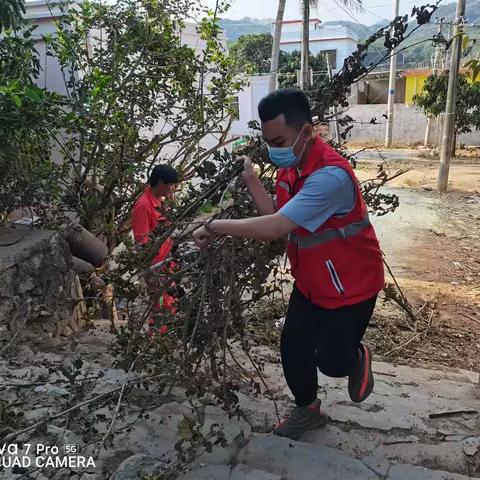 卫生文明创建，再前进