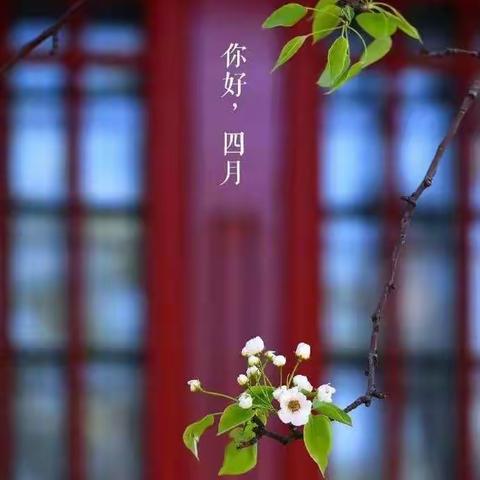 清明节班级摄影比赛作品展