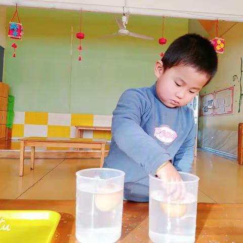 博苑盛唐幼儿园🎈小二班🎈科学小实验～《浮起来的鸡蛋》