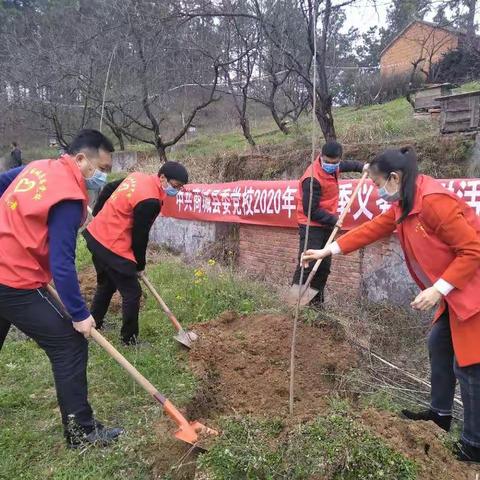 商城县委党校组织志愿者开展义务植树活动