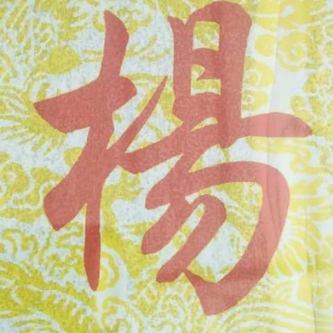 不忘先祖恩德，传承杨氏精神