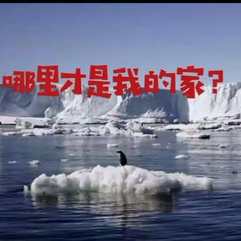 时代幼儿园线上课程《哪里才是我的家》——全球变暖下的企鹅北极熊寻家之旅