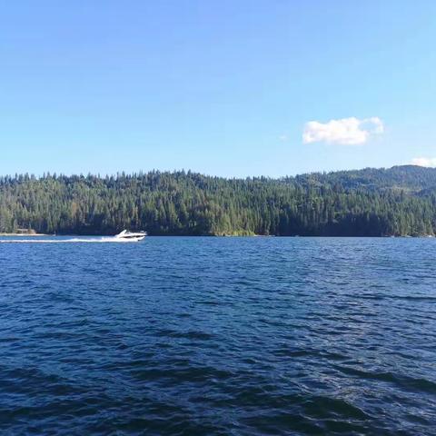 小孙的美国之行一（背景音乐为男孩子这次带入美国营地火了的鸡你太美）