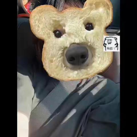 2022年暑假艰难出游之连云港-茅山