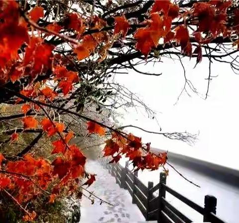 这边风景独好——三(11)班家长进课堂纪实(三)