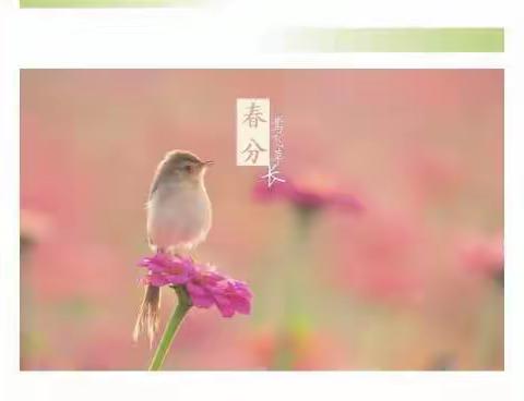 环城南路幼儿园线上课--春分