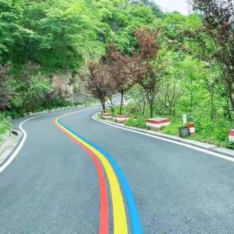 纵有疾风不言弃 星光不负赶路人