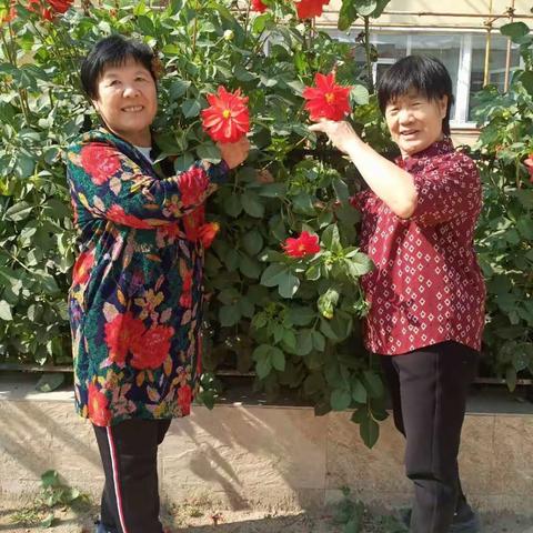 同学姐妹情