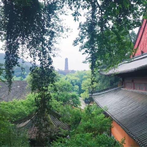 吟春韵 伴春行——记宝华小学春游活动