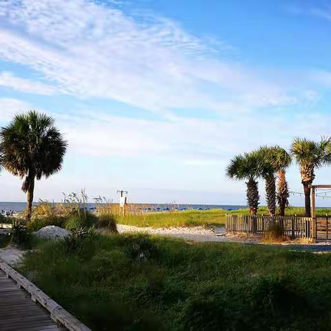 迷人的海岛Hilton Head Island