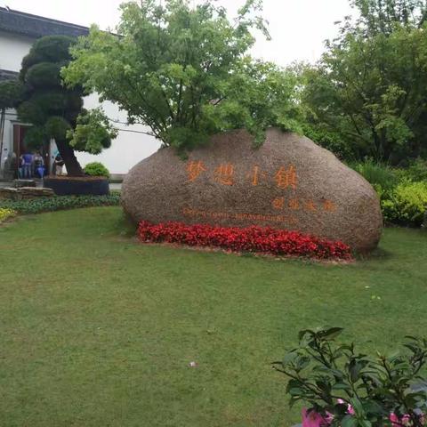 你负责阳光雨露，我负责茁壮成长——梦想小镇