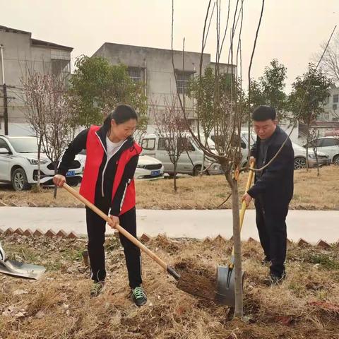 长葛市体育发展中心 “双报告•双报到•双服务”到桥北社区 参加植树活动