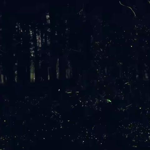 你好！黑夜精灵——记94班自然宣讲课堂