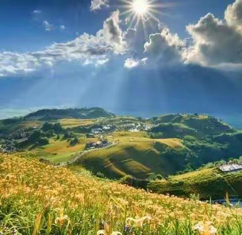 我们听懂了您的心声——五（4）班观《大自然在说话》有感