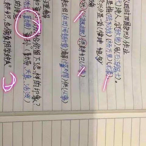 孩子们，老师牵挂着你❤️❤️❤️      ———给五（4）班孩子的一封信