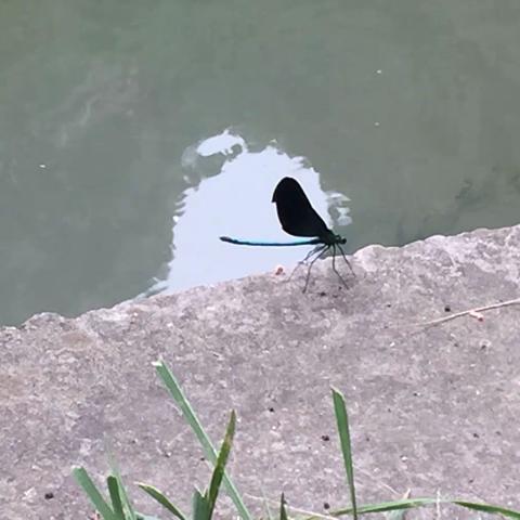 【七二班】