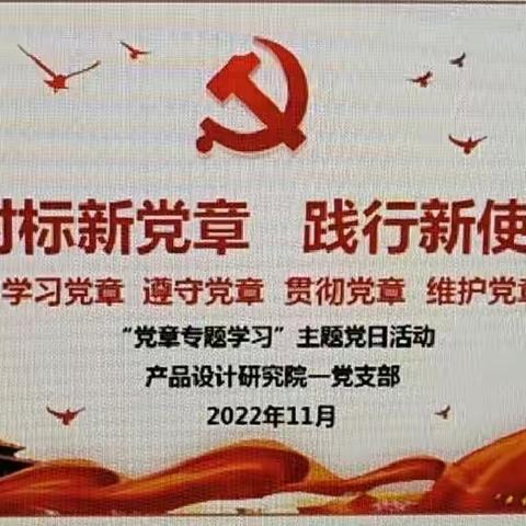 “对标新党章 践行新使命”党章专题学习主题党日活动