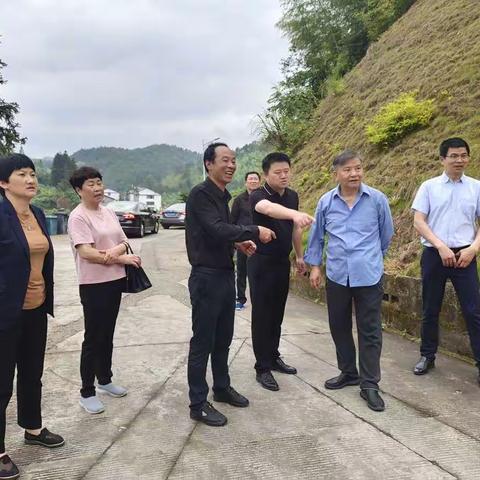 泰宁：三明市乡村振兴促进会会长吴俊慰深入泰宁调研