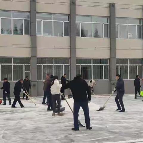 生态修复管理科开展清雪工作