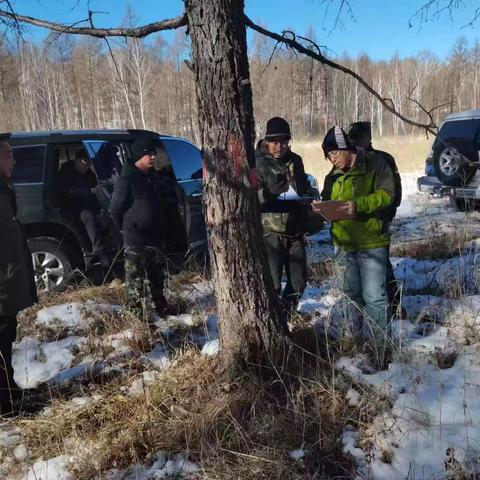 林业集团生态修复处到松岭林业局开展2022年度森林抚育核查工作