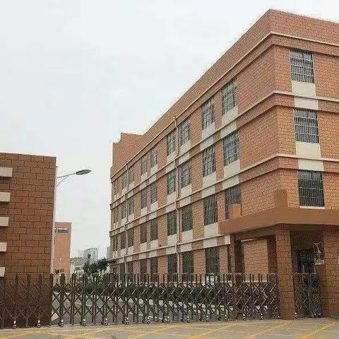 “爱眼护眼，关爱光明”——记兴华路小学主题班会