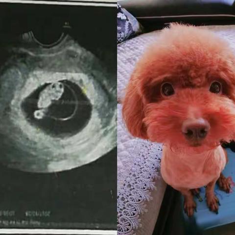 我的成长日记💕