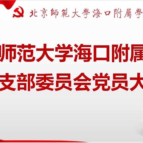 北京师范大学海口附属学校支部委员会党员大会